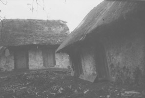 eika image
